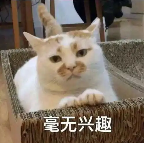  美妆大神pony又失手这次一下子就踩了五个雷