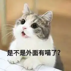 我要这个的猫咪表情包
