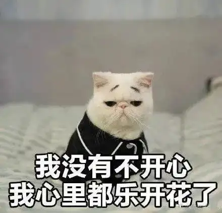  表情包全套熊猫头功夫表情包,拿走不谢