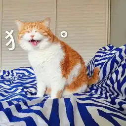  敲黑板不是所有吃的都能在脸上用