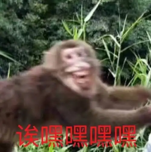  猪头少年和樱岛学姐的高手过招之