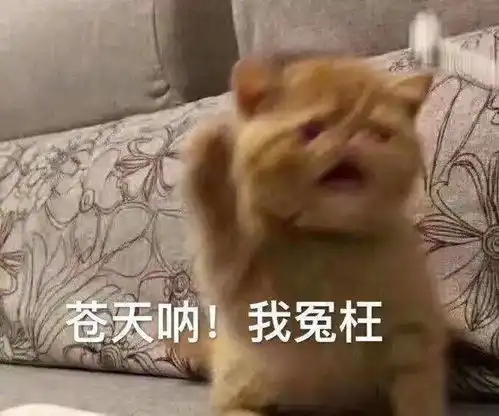  乘客下车半小时后出事,的哥被判有责这一点很多人会忽略