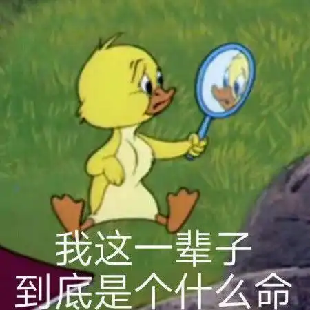  表情包斗图一时爽,一直斗一直爽别说还真牛13