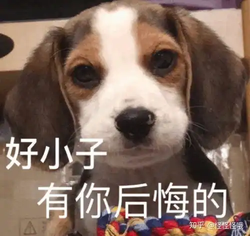  怎么看出处女座女生她喜欢你