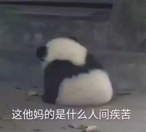  这个东京公寓的色彩太多了吧乍一看像儿童房,好像来到了童话世