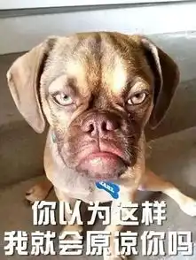  收好了狗年表情包大全有了这些,过年斗图不再怕