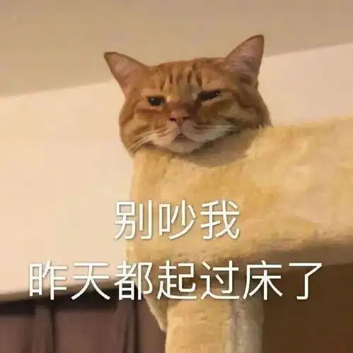 沙雕狗子表情包苏军