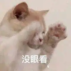  可爱小猫表情包
