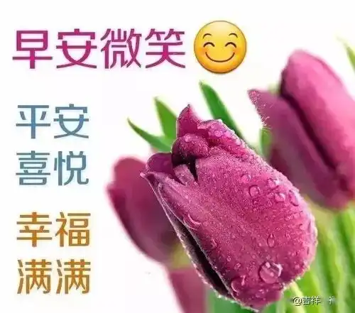 早上好表情包可爱早安