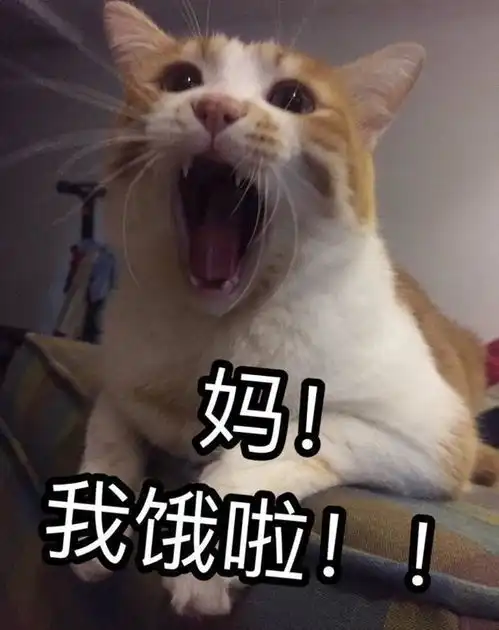  段子手神回复如何轻松的在家里制作美食