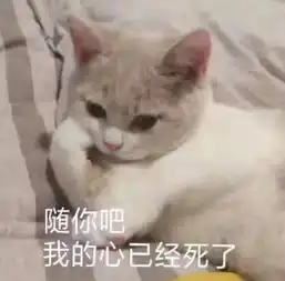  最近火了怼人表情包你这种小饼干,我都不用睁大眼看
