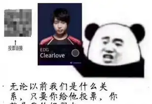  风波不断王思聪怼全明星投票edg老板质疑粉丝刷票