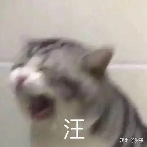  实测违法卖给猫狗的人用过期奶粉,火腿肠,过期有风险不要喂猫狗