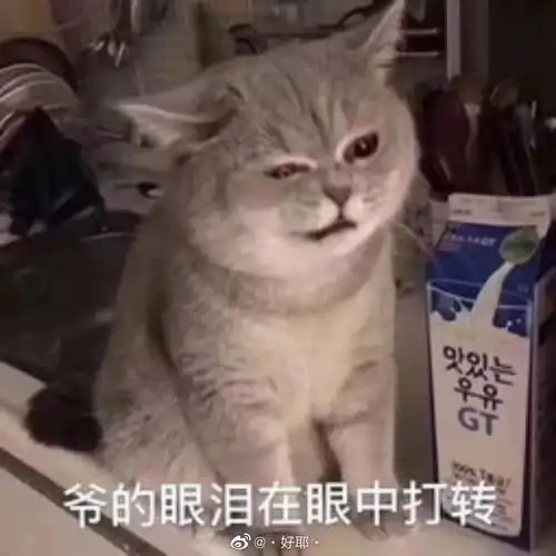  端午节不回家,直接被妈妈拉黑了要怎么破