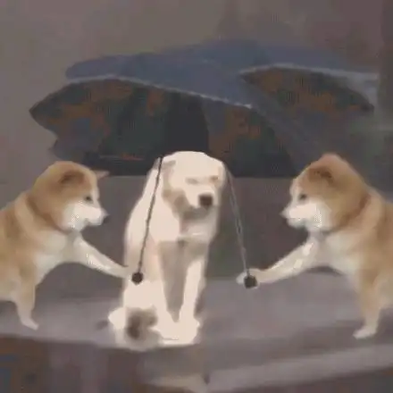 狗托表情包小狗狗