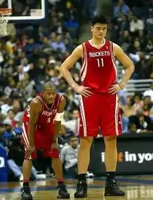  80后的姚明上海的巨人,世界的巨星,and中国永远的表情包