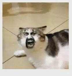  别人在微信里发了一个动态的猫头人脸表情图片,是一个猫头,有好几个的人脸,转一下变一下脸叫什么表情,