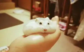  艰难的翻身