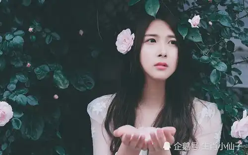  夜晚的生肖马