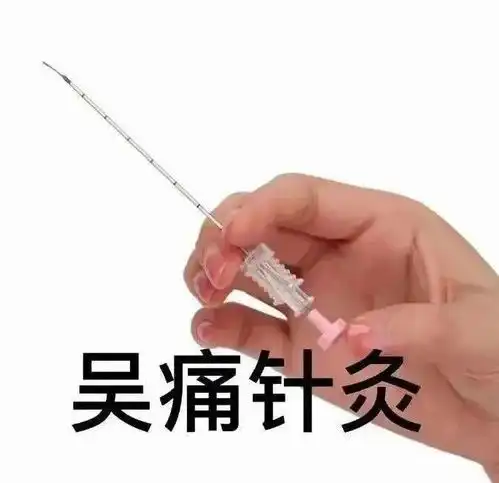  今日份的沙雕表情包,果然更上一层楼