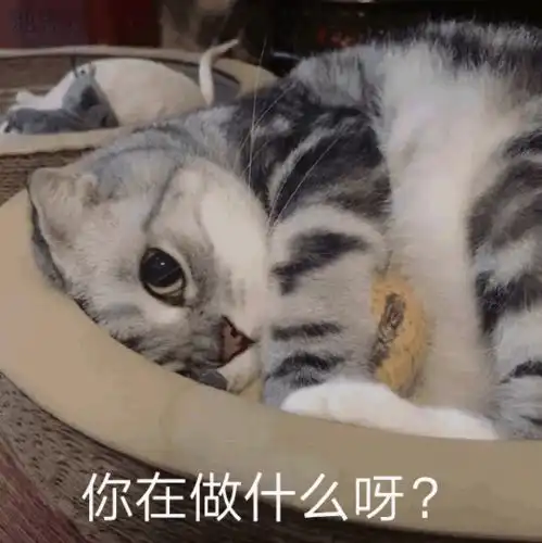  表情包第二十二期你还不懂我的意思吗