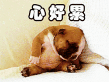 每天两小时,不知不觉拉开了你和其他工程师的差距 每天两小时,不知不觉拉开了你和其他工程师的差距