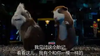  豚鼠特工队中文