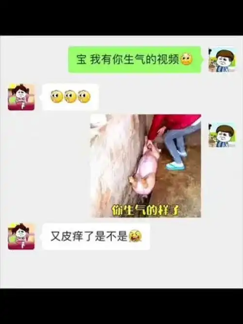  是不是你的女朋友情侣日常搞笑表情包艾特你想艾特的人