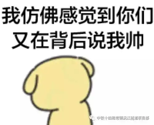 ac娘表情包图片窗口