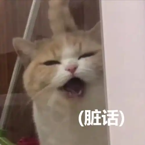  搞笑可爱表情包借我点钱