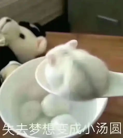  从渔村少年到联合国副秘书长级官员,他的联合国之路堪比打怪升级