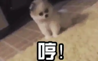 非常鬼畜
