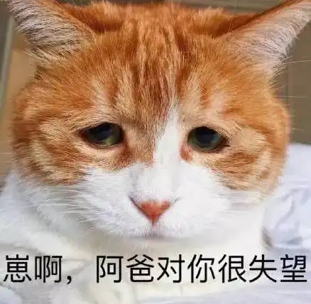  经常发黄的表情包