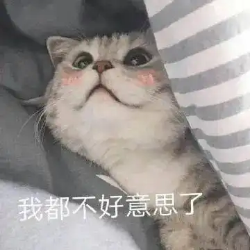  萌宠播报居然有会自己进购物袋的狗子
