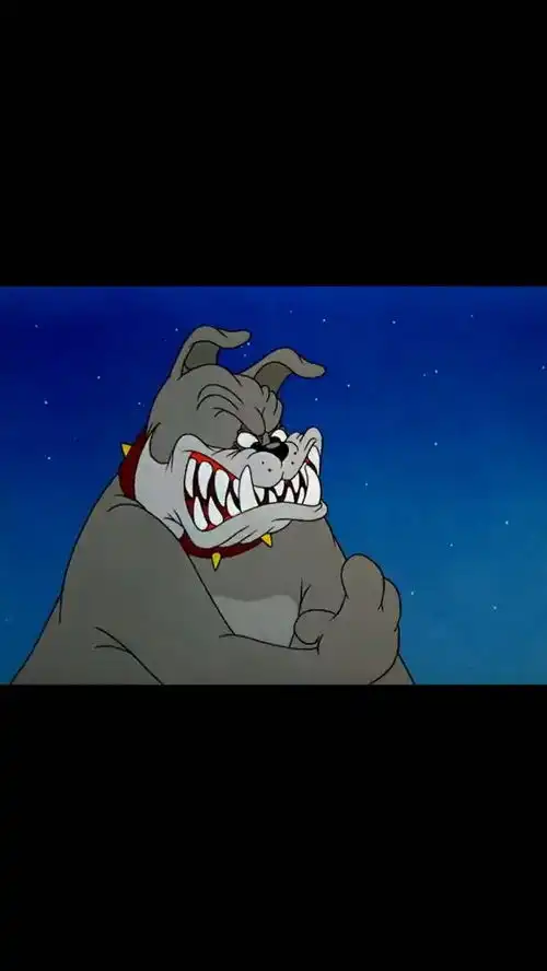  取图主页,优雅潇洒...表情包搞笑视频经典段子情侣夫妻搞笑聊天记录猫和老鼠