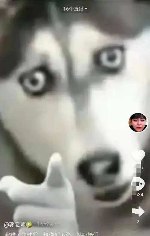 指人的表情包文案