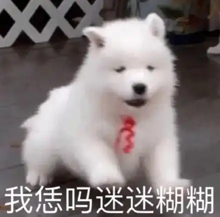  奇奇怪怪动物表情包