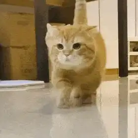  表情包曾经小小少年如今又大又圆