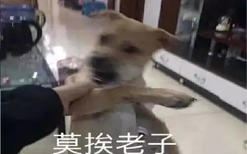  轻松一下94期dc新片雷霆沙赞预告夏目友人帐剧场版内地海报当你的影子变成迪士尼主角原来冬虫夏草是这样形成的行走的棉被