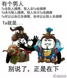  表情包可能是最牛的三国杀表情包