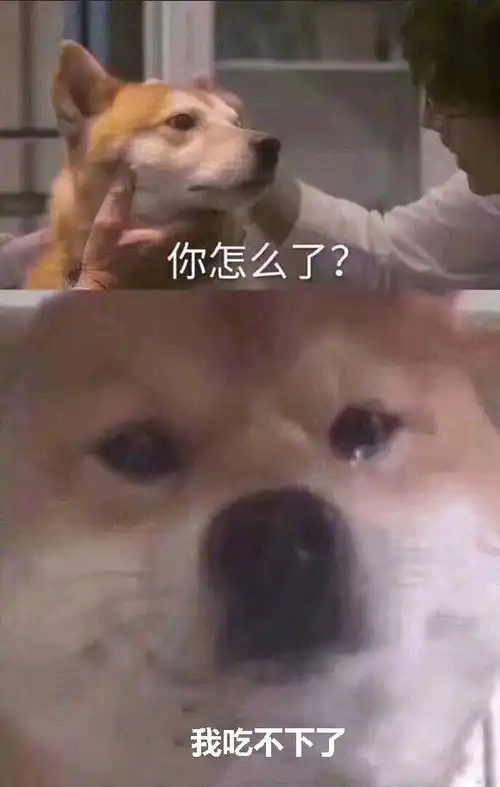 ff14制作人说他想做一款吃鸡游戏,或许他已经做到了 ff14制作人说他想做一款吃鸡游戏,或许他已经做到了