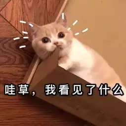  表情sir微笑中透露着肥胖