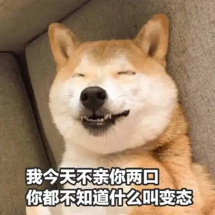  狗狗表情包斗图系列好兄弟好好做狗心如死灰