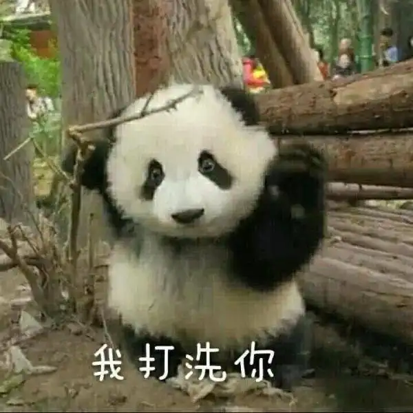  给大家分享一组搞笑的表情包