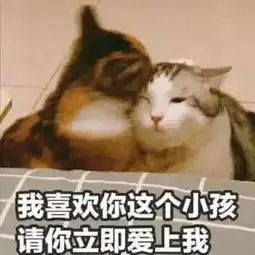  火了示爱表情包,你这么可爱,被大风吹到我怀里我是不会还的