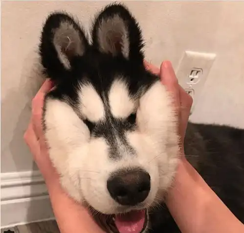 爆笑小故事一 爆笑小故事一