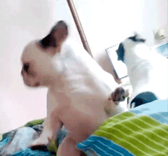  妹妹,你老公真不行