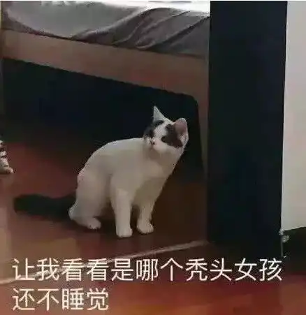  表情送你一波超火表情包让我看看是哪个秃头女孩还不睡觉表情
