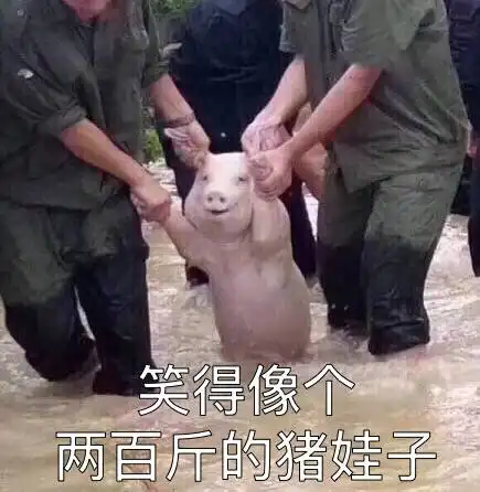  哈哈哈哈哈哈哈哈是我是我没错是我