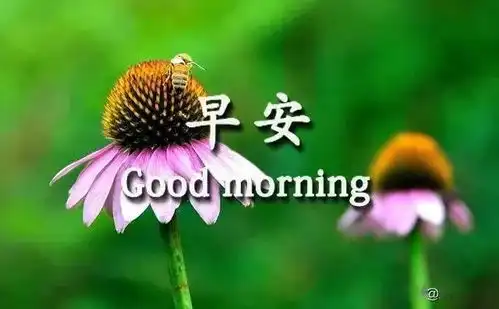  人生学会随缘,才能活得潇洒自在早安成功